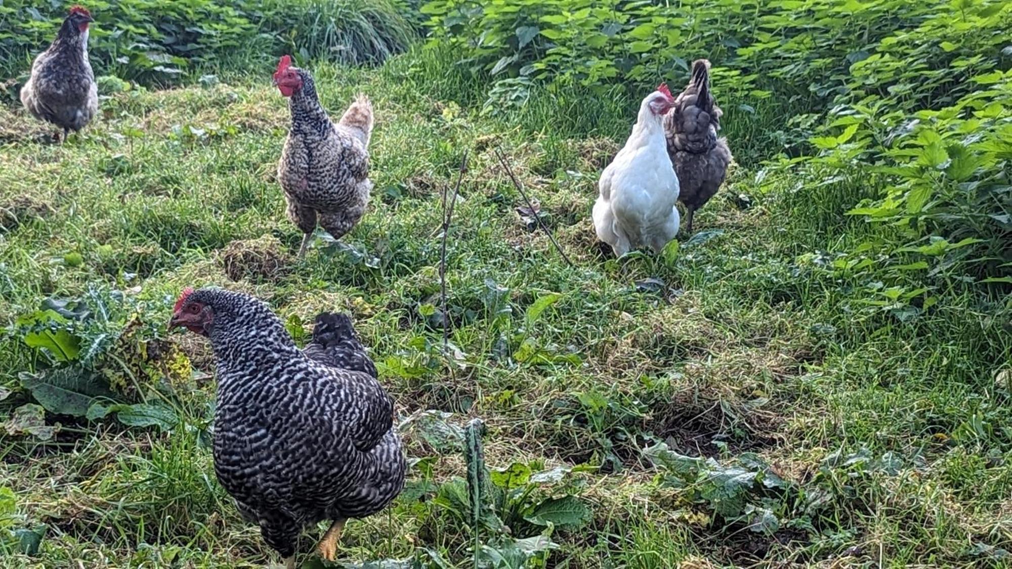 Gite Chez Loupi Épaignes Εξωτερικό φωτογραφία